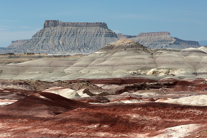 Bison : Antelope Island : Utah : Landscape Photos : Richard Moore : Photographer